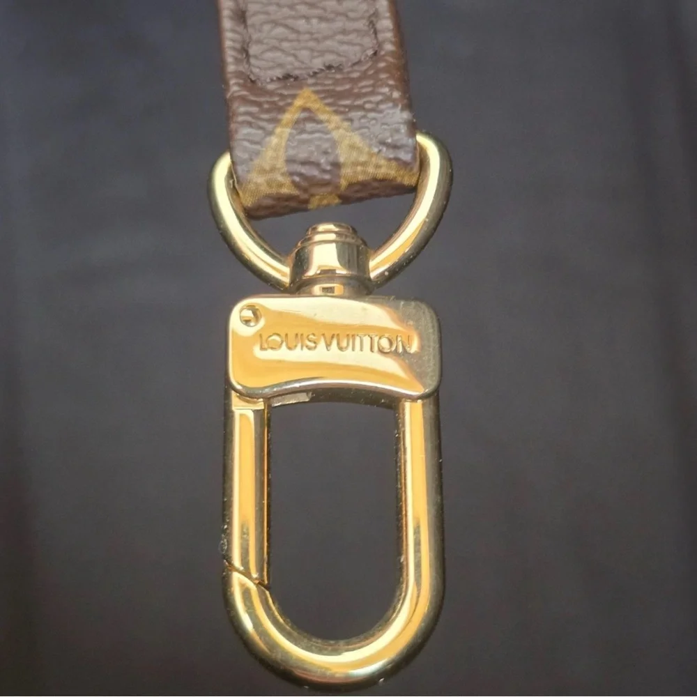 Louis Vuitton dog carrier Monogram Handbag